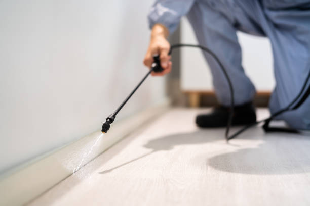 Bed Bug Pre-Treatment Preparation Assessment in Dallas Center