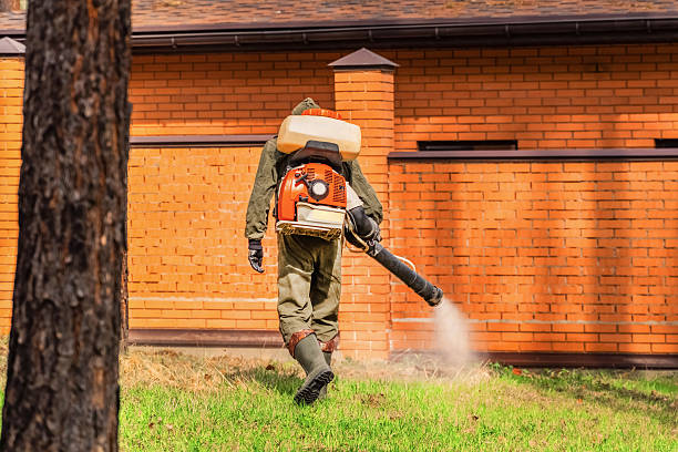 Bed Bug Clearance Verification and Documentation in Dallas Center